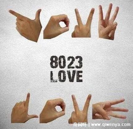 8023ִİ麬ͼƬlove8023ܲʷ